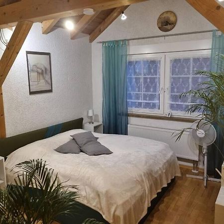 Gemuetliche Dachgeschosswohnung Erfurt Buitenkant foto