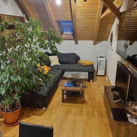Gemuetliche Dachgeschosswohnung Erfurt Buitenkant foto