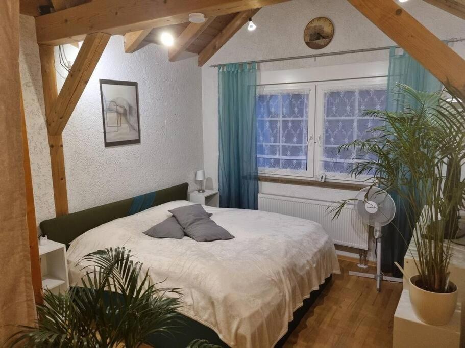 Gemuetliche Dachgeschosswohnung Erfurt Buitenkant foto