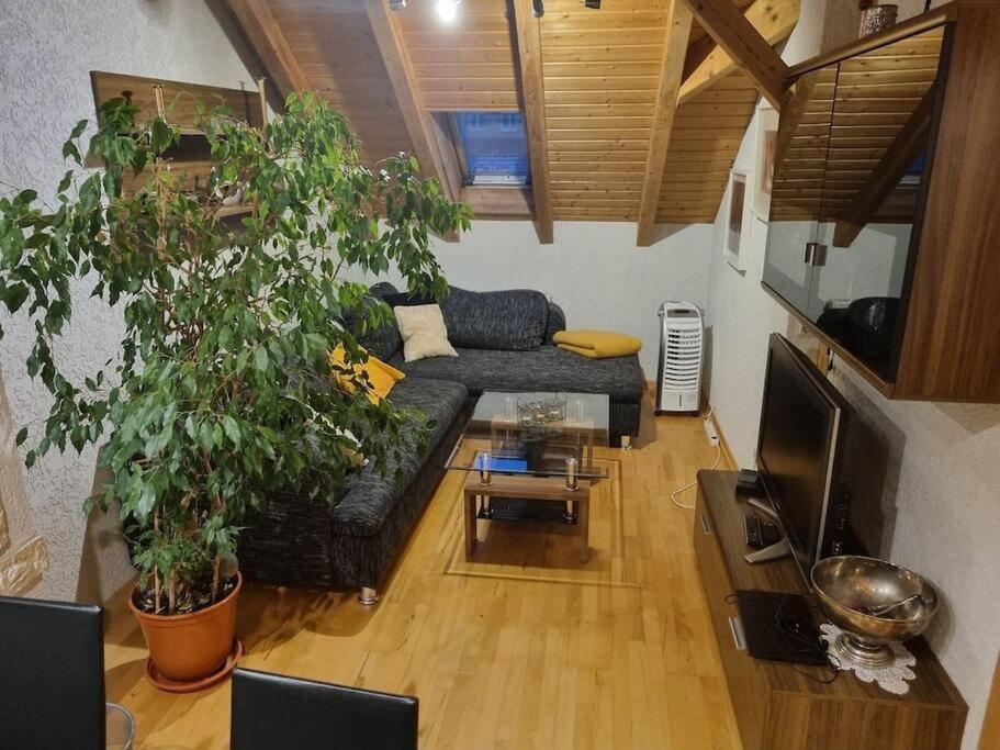 Gemuetliche Dachgeschosswohnung Erfurt Buitenkant foto