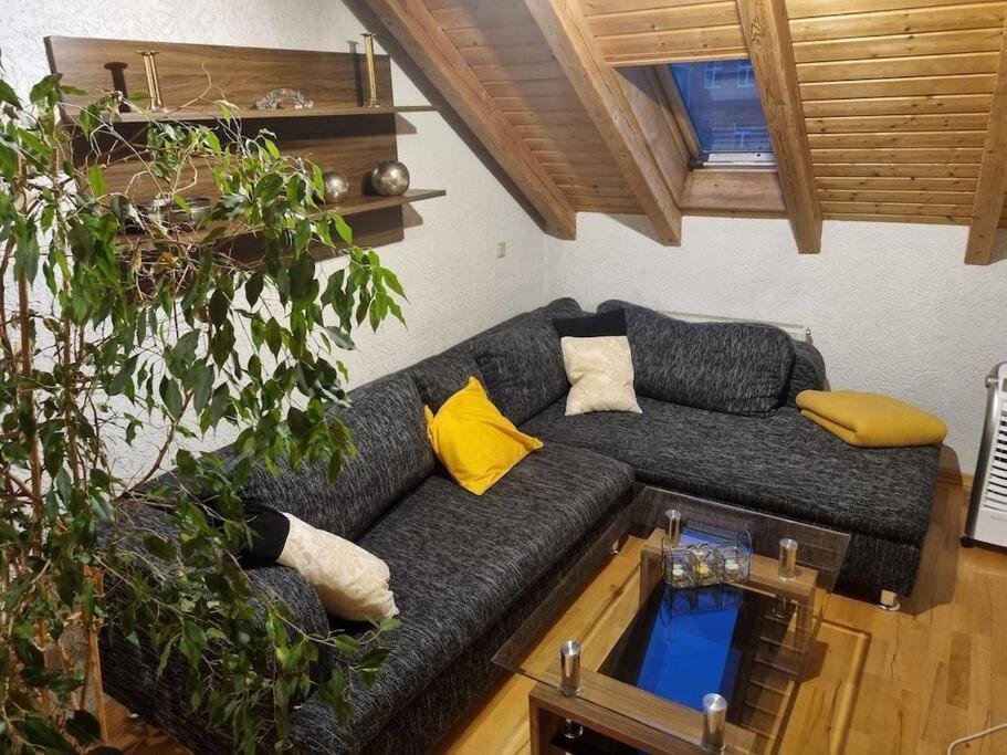 Gemuetliche Dachgeschosswohnung Erfurt Buitenkant foto