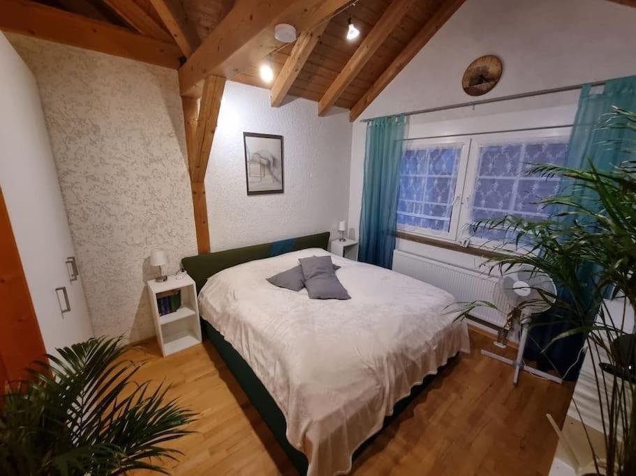 Gemuetliche Dachgeschosswohnung Erfurt Buitenkant foto