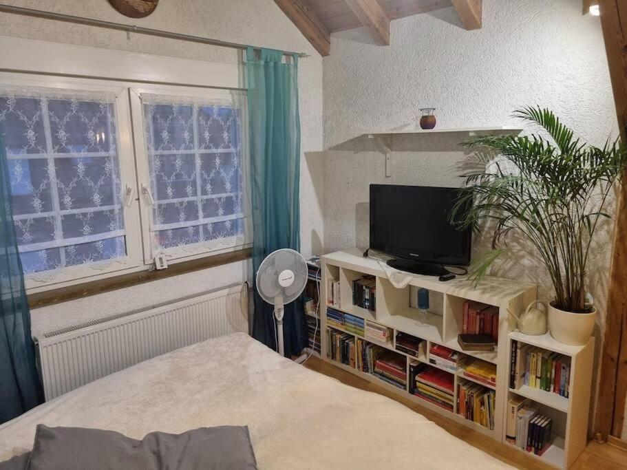 Gemuetliche Dachgeschosswohnung Erfurt Buitenkant foto
